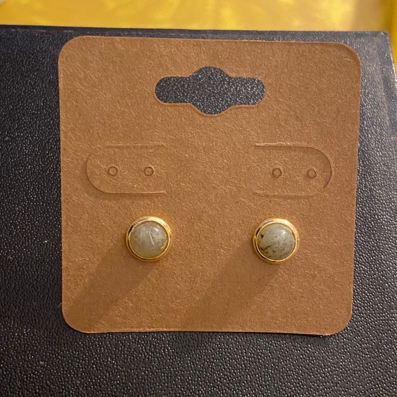 Green Earrings with Gold Detail - Picture 1 of 1